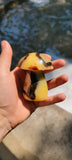 Septarian Mushroom