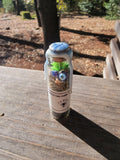 Evil eye protection spell jar