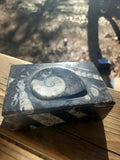 Ammonite crystal box