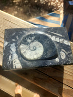 Ammonite crystal box