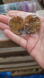 Ammonite Pairs