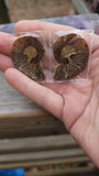 Ammonite Pairs