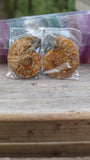 Ammonite Pairs