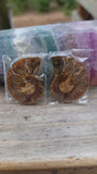 Ammonite Pairs