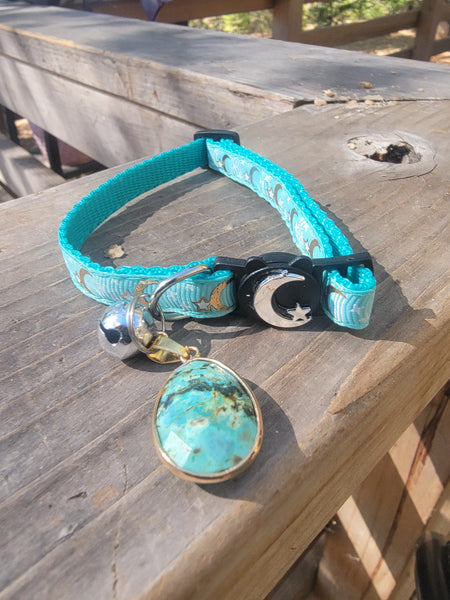 Turquoise blue cat collar