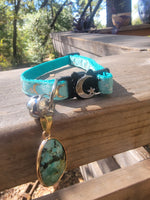 Turquoise blue cat collar