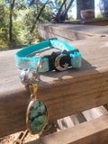 Turquoise blue cat collar