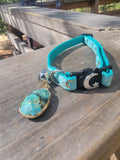 Turquoise blue cat collar