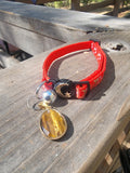 Tiger eye red cat collar