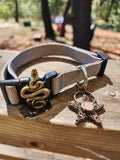 Celestial Serpent Rose Quartz Dog Collar ( M-L)