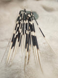Porcupine Quill (1)