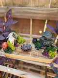 The Moss & Bone Cauldron Altar
