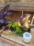 The Wildwood Moon Altar