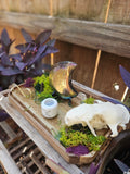The Wildwood Moon Altar
