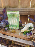 The Serpent’s Sight Familiar Altar