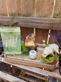 The Wildwood Moon Altar