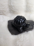 Obsidian turtle