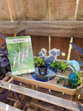 The Watchful Waters Evil Eye Altar