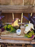 The Wildwood Moon Altar