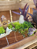 The Moonlit Familiar Altar