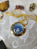 Medusa gold