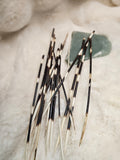 Porcupine Quill (1)