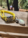 Golden Moth Labradorite Cat Collar