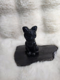 Obsidian cat medium