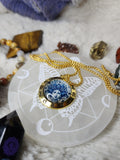 Medusa gold