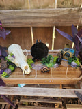 The Veilwalker Fox Scrying Altar