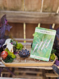 The Moss & Bone Cauldron Altar