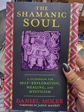 The Shamanic Soul: a guidebook for self exploration, healing, & mysticism