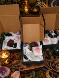 Tiny Shinies Specimen Mystery Boxes