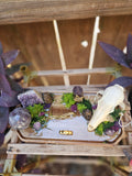 The Serpent’s Sight Familiar Altar