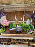 The Moonlit Familiar Altar