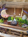 The Moonlit Familiar Altar