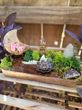 The Moonlit Familiar Altar