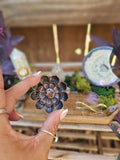 The Serpent Moon Altar