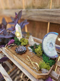 The Serpent Moon Altar
