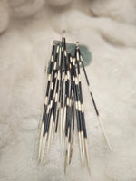 Porcupine Quill (1)