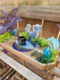 The Watchful Waters Evil Eye Altar