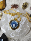 Medusa gold