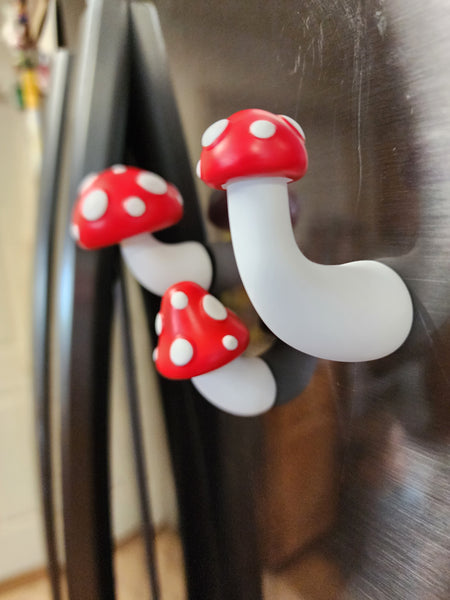 Aminita muscaria mushroom magnets