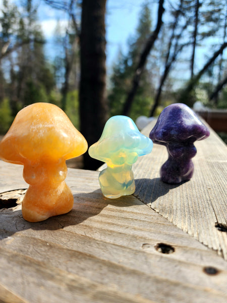 Crystal mushroom goddess bodies