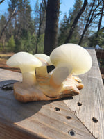 Green onyx mushroom carving