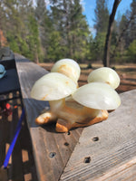 Green onyx mushroom carving