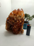 XXL Citrine Geode | 6.5 pounds (2936G) l Citrine Cluster | Honey Citrine | Raw Citrine | Citrine Quartz | Larger Citrine Cluster l Set 3