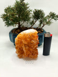 Large Citrine Geode | Citrine Cluster | Honey Citrine | Raw Citrine | Citrine Quartz | Larger Citrine Cluster l Set 2