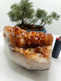 XXL Citrine Geode | 6.5 pounds (2936G) l Citrine Cluster | Honey Citrine | Raw Citrine | Citrine Quartz | Larger Citrine Cluster l Set 3